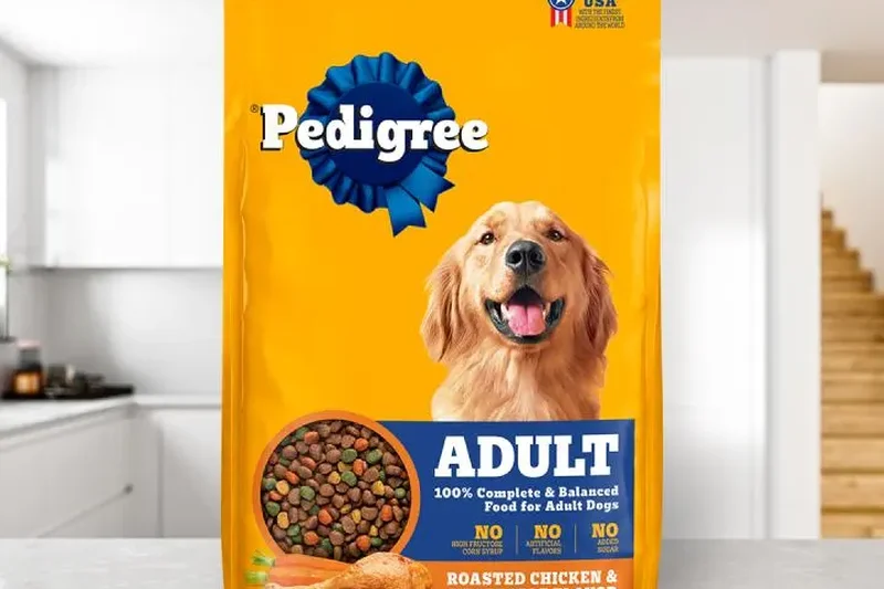Pedigree Complete Nutrition Adult Dry Dog Food