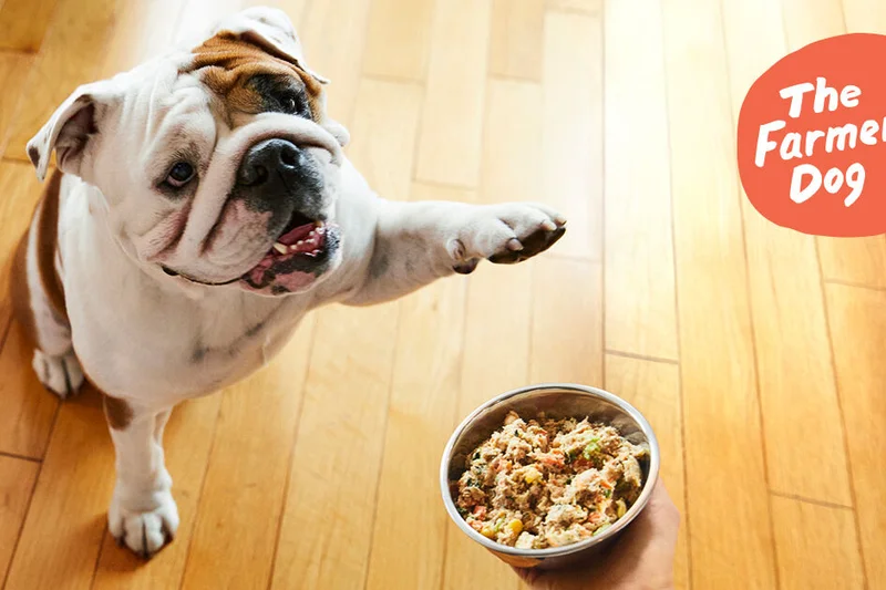 The Farmer's Dog Fresh Beef Recipe