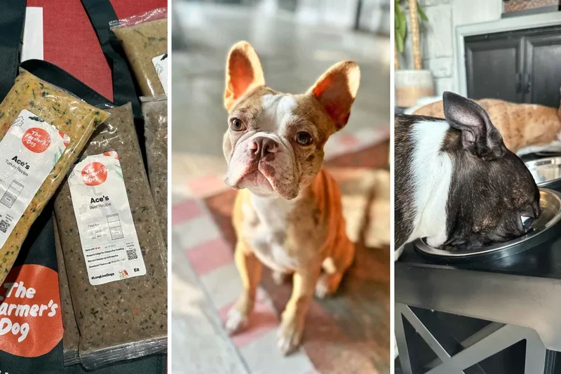 The Farmer's Dog Fresh Beef Recipe